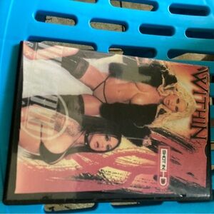 Devil Within - DVD